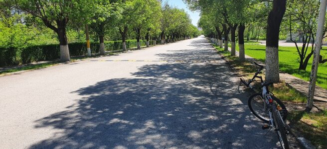 İbrahim Tanrıverdi, Yol